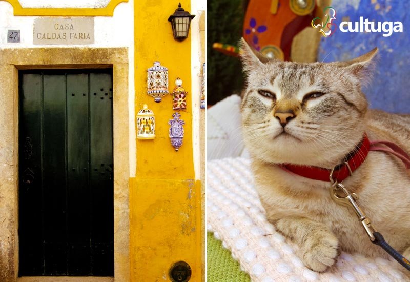 O que fazer em Óbidos Portugal O que fazer em Óbidos Portugal