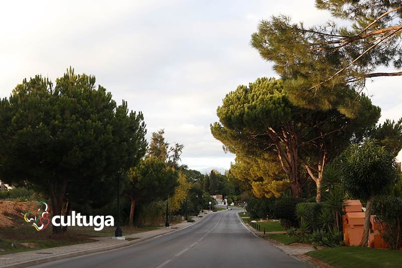 Avenida Ayrton Senna Algarve Portugal
