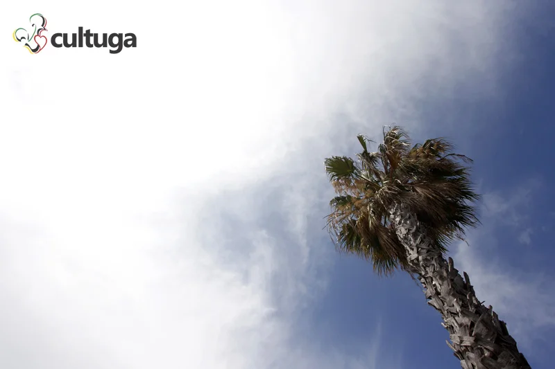 o que fazer em faro algarve portugal cultuga