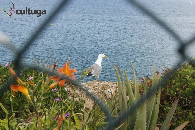 o que fazer em albufeira algarve portugal