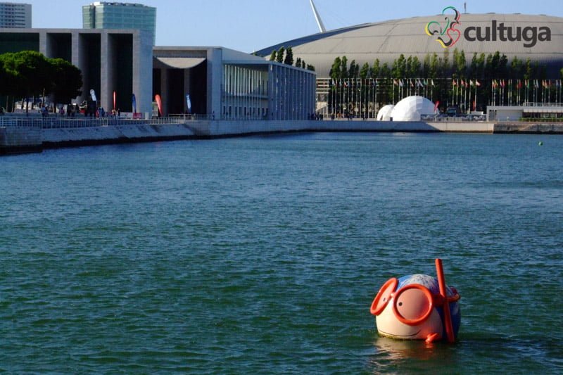 conexão em lisboa oceanário parque das nações cultuga portugal