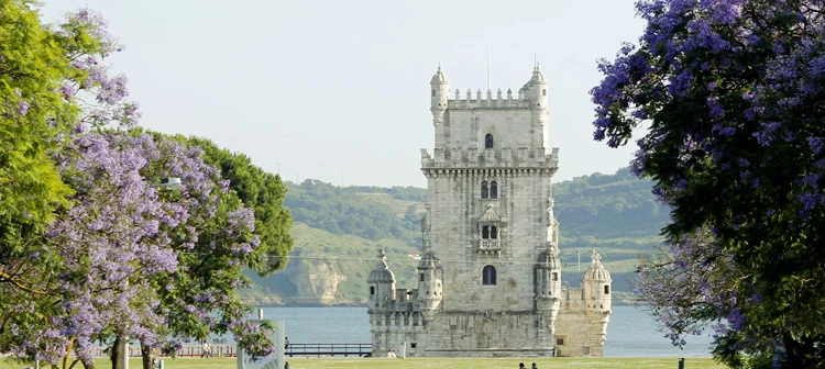 Primavera em Portugal: jacarandás em Lisboa