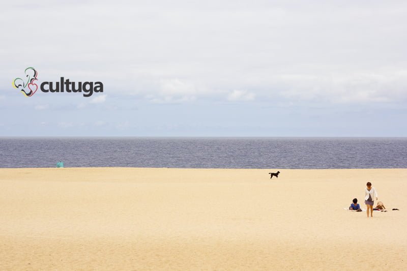 cachorro_nazare_portugal_cultuga_6