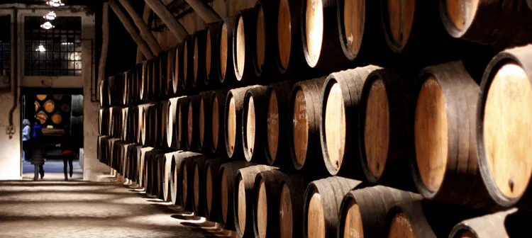 Como visitar as caves de Vinho do Porto? Caves de vinho do Porto Portugal