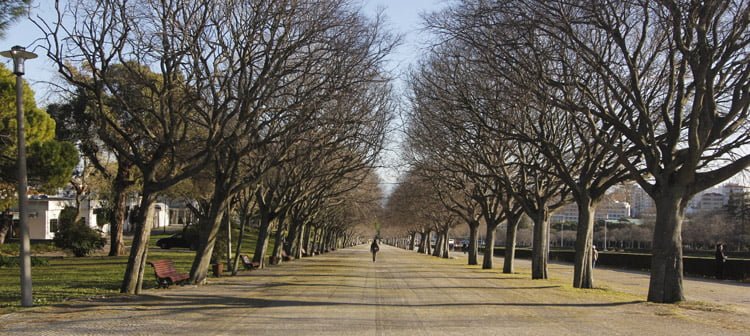 O que fazer DE GRAÇA em Lisboa? Divirta-se com essas dicas! o que fazer de graça em Lisboa