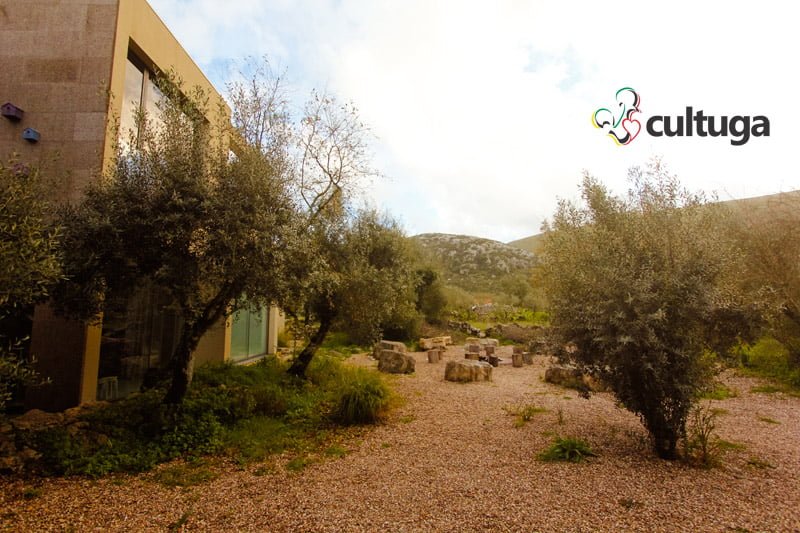 hotel_turismo_rural_centro_de_portugal_oliveiras_cooking_and_nature_emotional_2