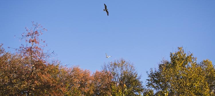 Portugal em outubro: outono