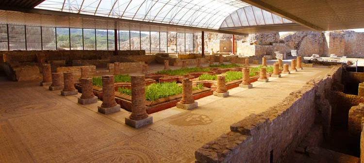 Ruínas Romanas de Conímbriga - Portugal