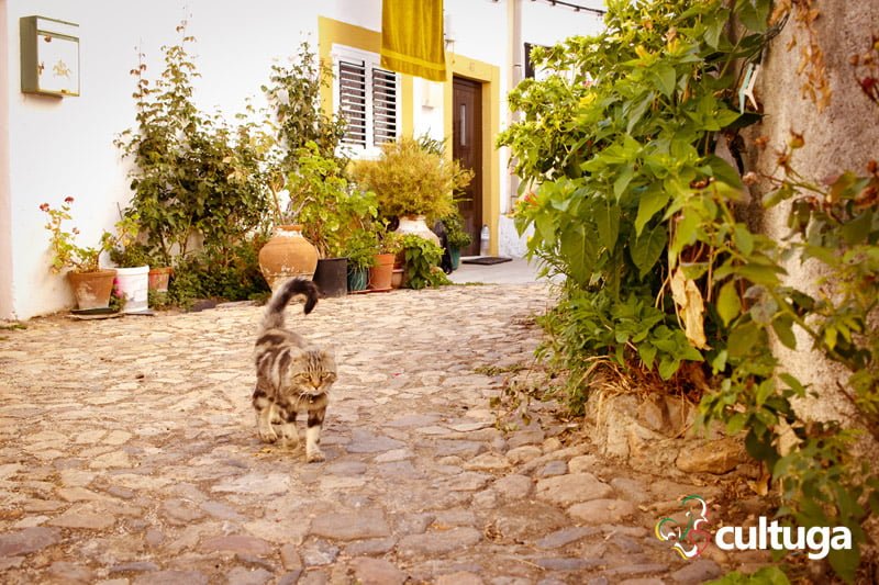 Castelo de Vide: a Sintra do Alentejo - Portugal