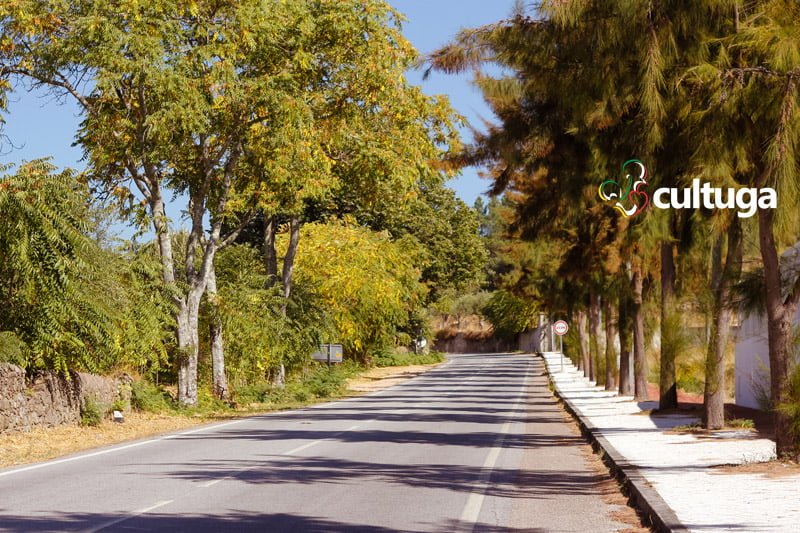 Estrada a caminho de Castelo de Vide: a Sintra do Alentejo - Portugal