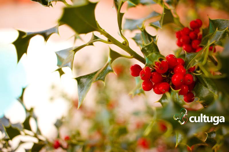 Onde dormir no Vale do Douro: Casa do Romezal - Portugal