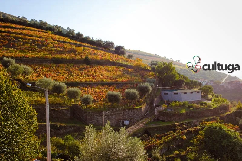 destinos românticos portugal: douro