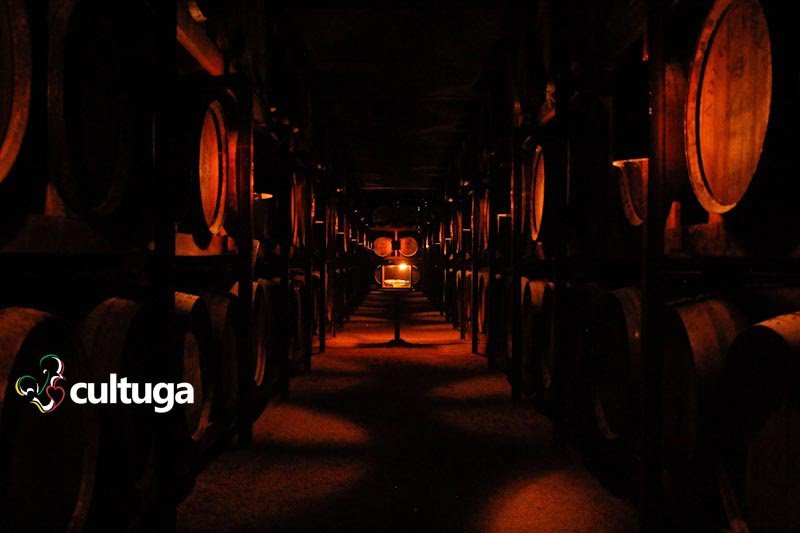 Visita a Quinta da Aveleda, o berço do vinho Casal Garcia - Portugal