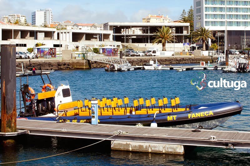 Mala para os açores: roupa ideal para usar no barco e ver baleias