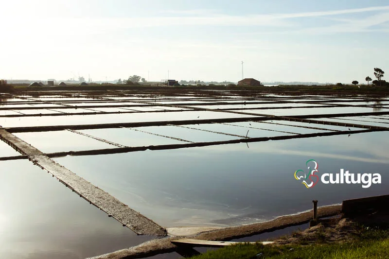 O que fazer em Aveiro: salinas O que fazer em Aveiro: salinas