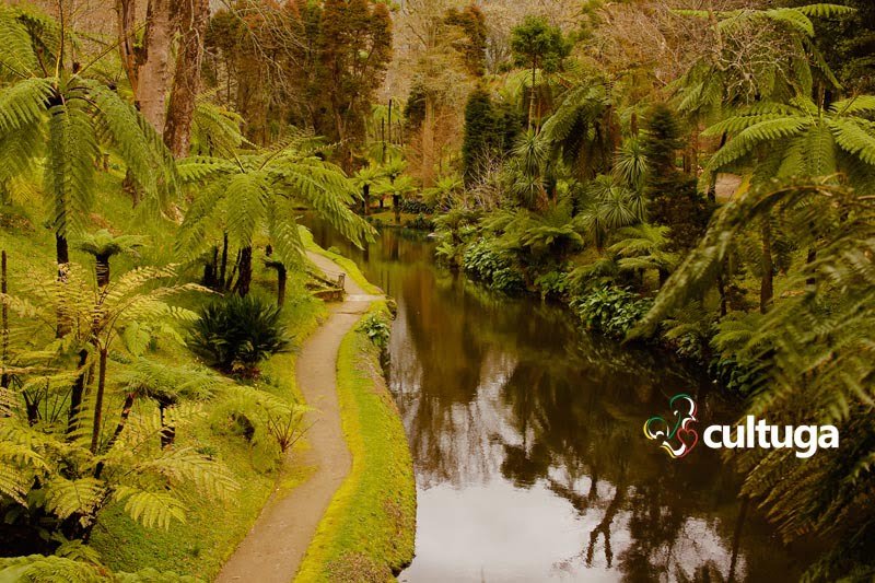 Parque Terra Nostra, na ilha de São Miguel, nos Açores - Portugal