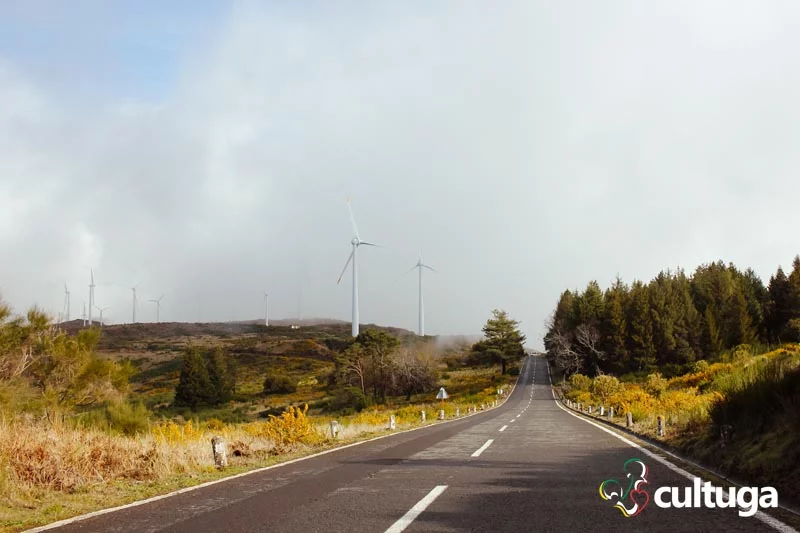 Estrada de Paul da Serra, na Ilha da Madeira - Portugal