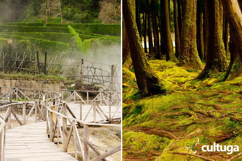Vale das Furnas na Ilha de São Miguel Açores