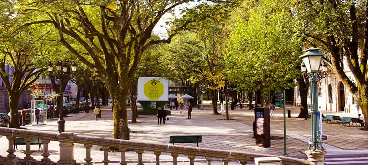 o que fazer em Viseu Portugal