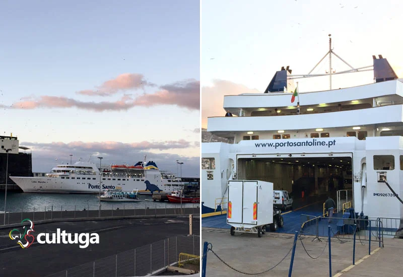 Navio Lobo Marinho no Cais do Funchal
