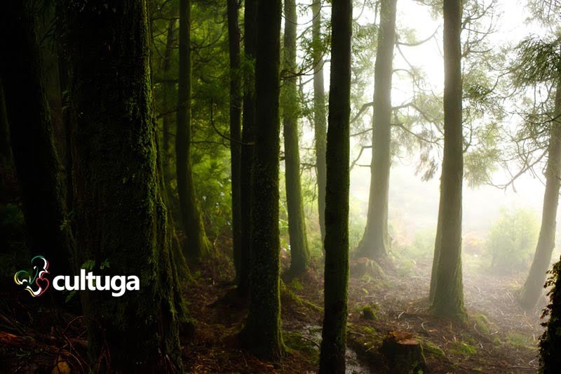 Tour guiado nos açores lagoa do canário