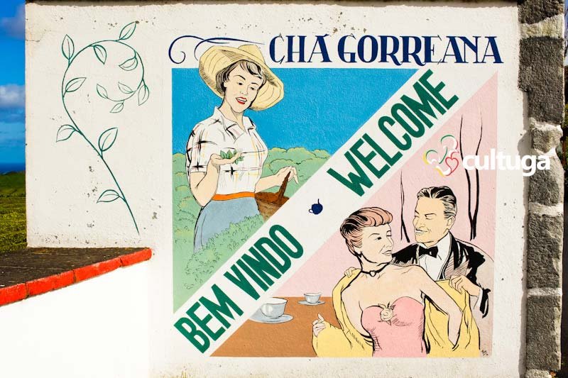 Açores: Plantação de Chá Gorreana