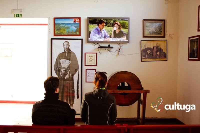 Açores: Plantação de Chá Gorreana a mais antiga da Europa