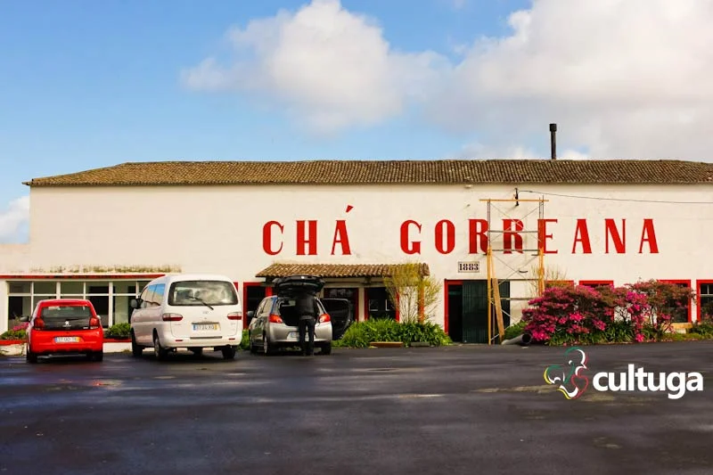 Açores: Plantação de Chá Gorreana a mais antiga da Europa Açores: Plantação de Chá Gorreana a mais antiga da Europa
