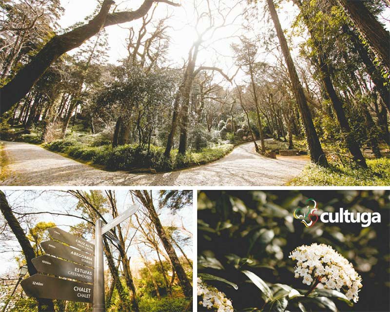 Jardim do Palácio da Pena Sintra