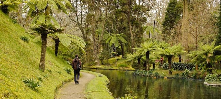 Como fazer um roteiro para os Açores? Veja nossas dicas! Roteiro Açores, Ilha de São Miguel