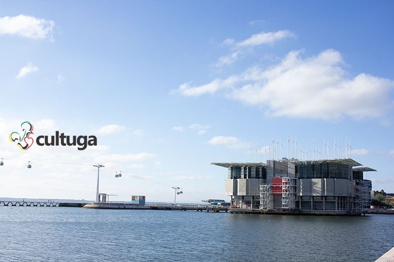 O que fazer em Lisboa: Oceanário, no Parque das Nações