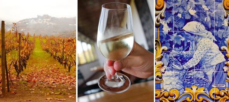 Vinhos: 9 vinícolas para conhecer em Portugal Vinhos em Portugal