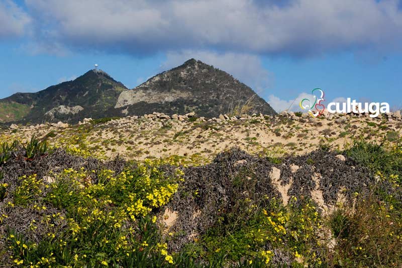 Ilha do Porto Santo, Madeira