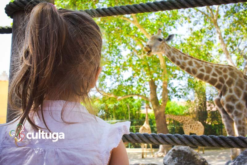 Lisboa com crianças: Zoológico