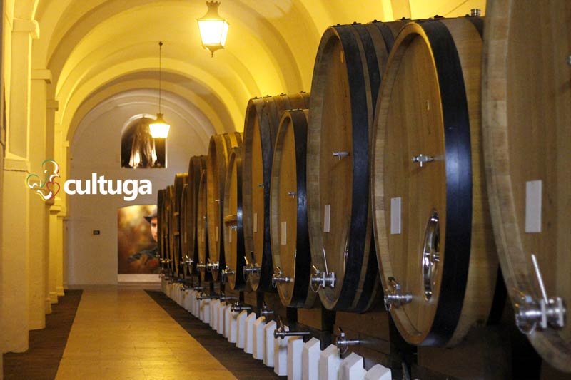 Adega Cartuxa, no Alentejo