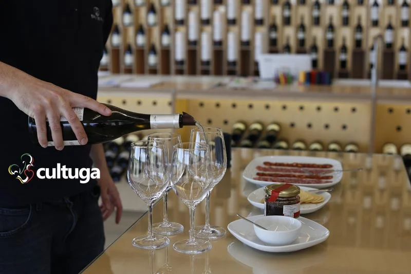 Vinícolas em Portugal - Ervideira