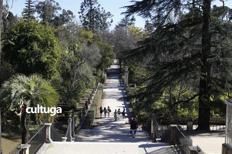Jardim Botânico de Coimbra
