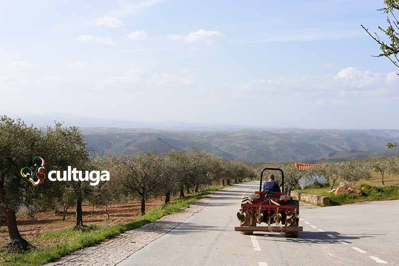 Trás os montes Portugal: Algoso