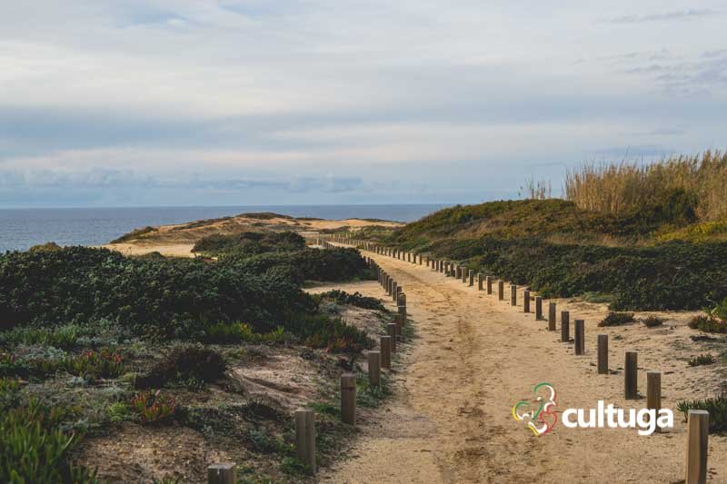 Farol do Cabo Sardão