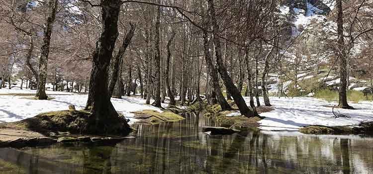 serra da estrela