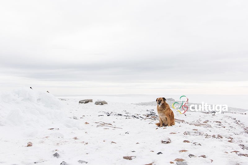 Melhor época Serra da Estrela: inverno