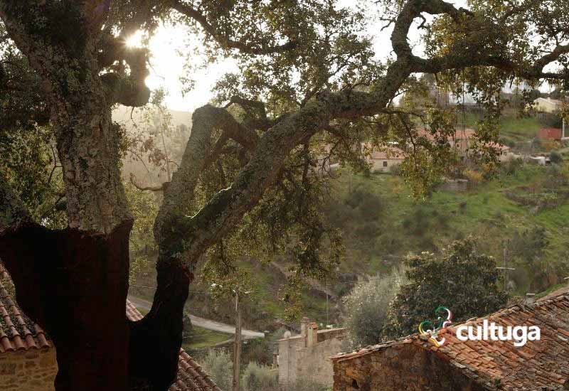 Aldeia Água Formosa Portugal