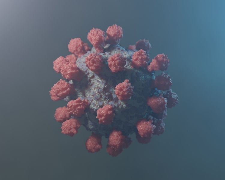 Covid-19 em Portugal: como o país lidou com a pandemia? Veja a linha do tempo!