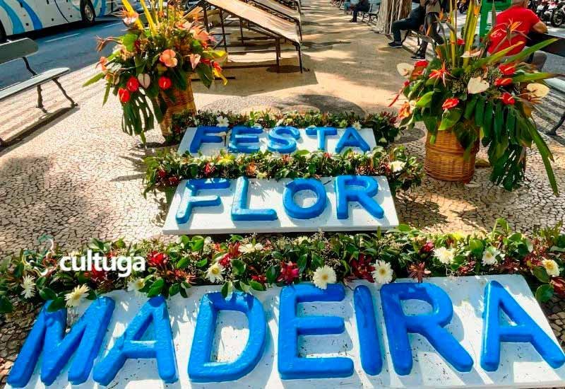 Festa da Flor Madeira Avenida Arriaga