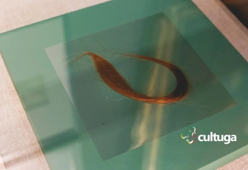 Mecha de cabelo de D Maria II de Portugal