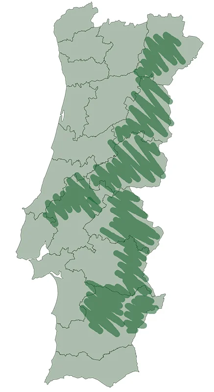 mapa azeite portugal