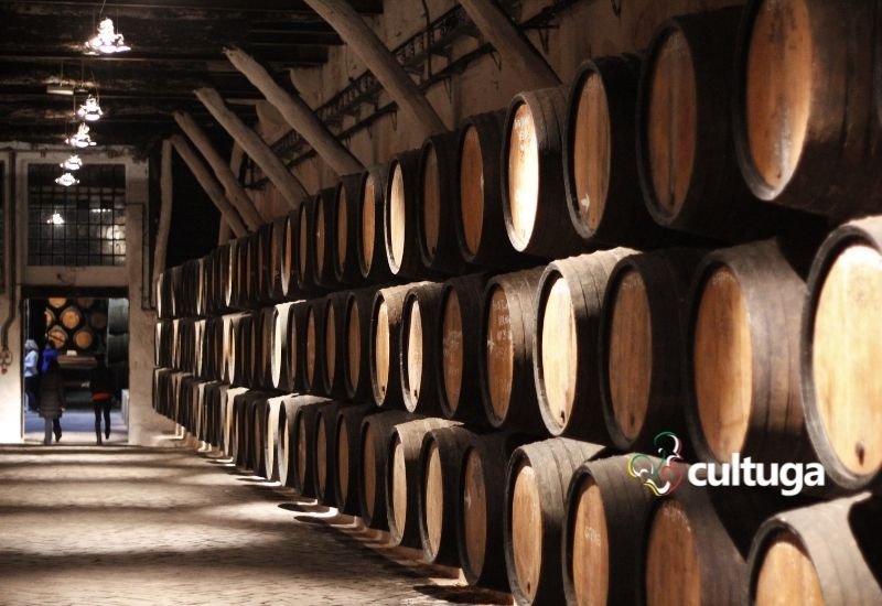 Porto Portugal o que fazer