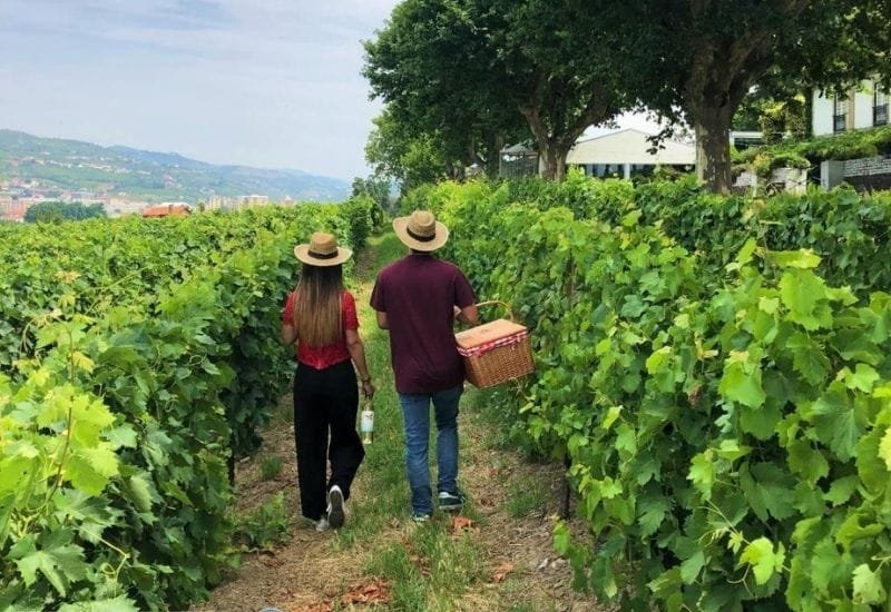 lua de mel portugal: hotel em vinícola