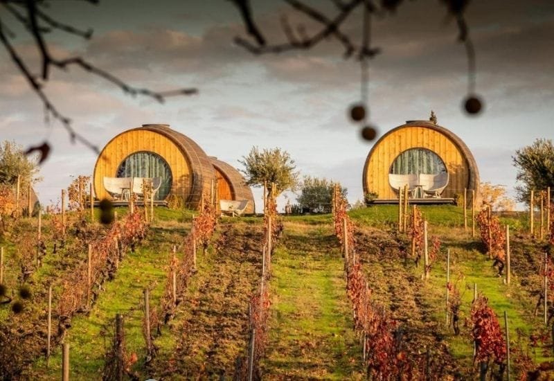 lua de mel portugal: hotel vínco