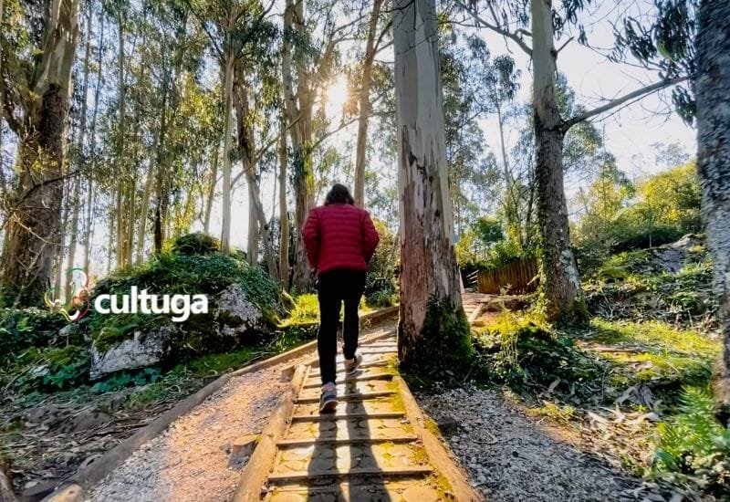 Pia do Urso Aldeia de Portugal